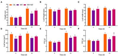 Effects of Melatonin on Morphological Characteristics, Mineral Nutrition, Nitrogen Metabolism, and Energy Status in Alfalfa Under High-Nitrate Stress